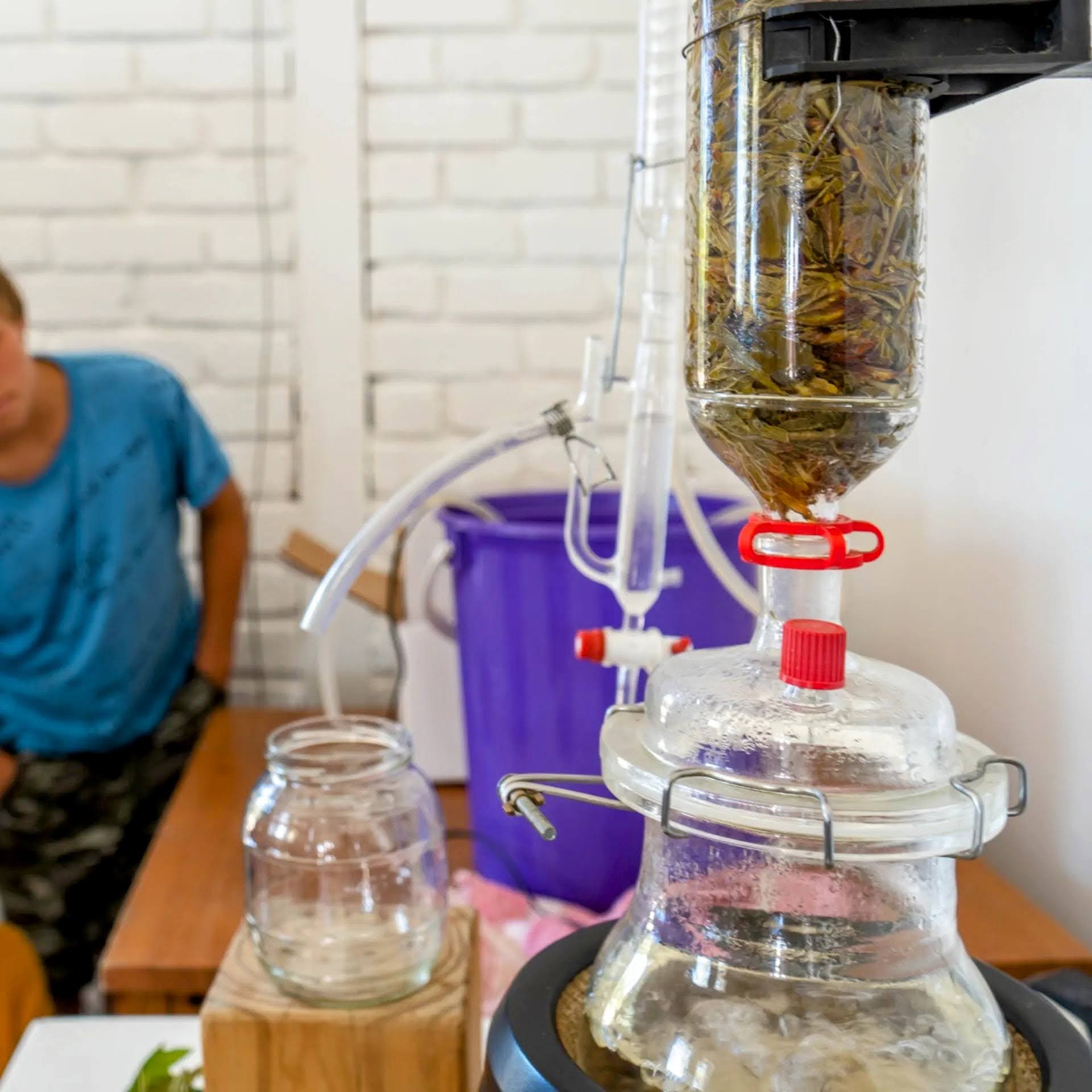 Raphaeli Waldorf School Grounds