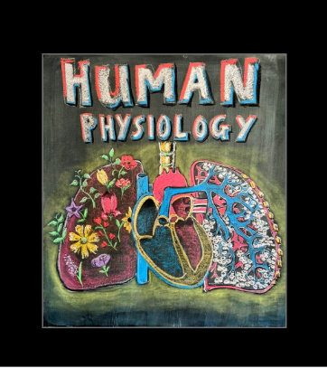 Waldorf Creative Classroom